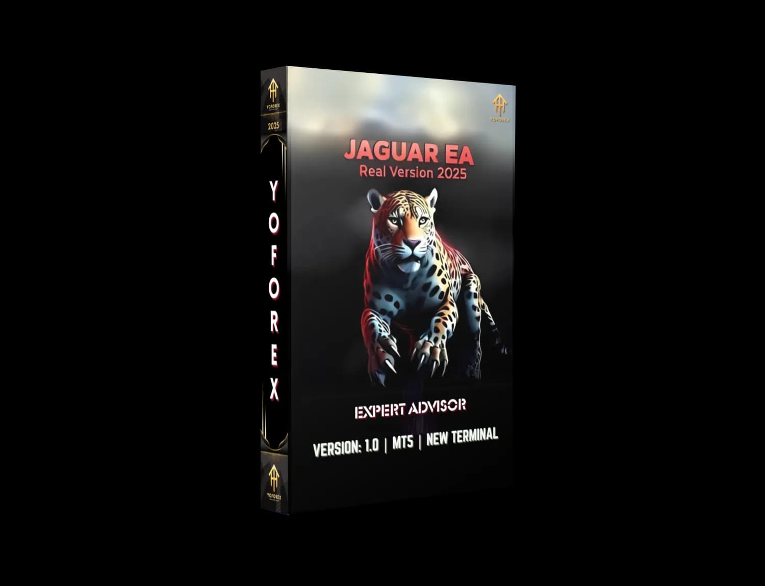 JAGUAR EA Real Version 2025 V1.0 MT5 – Free Precision Forex Bot - FREE DOWNLOAD