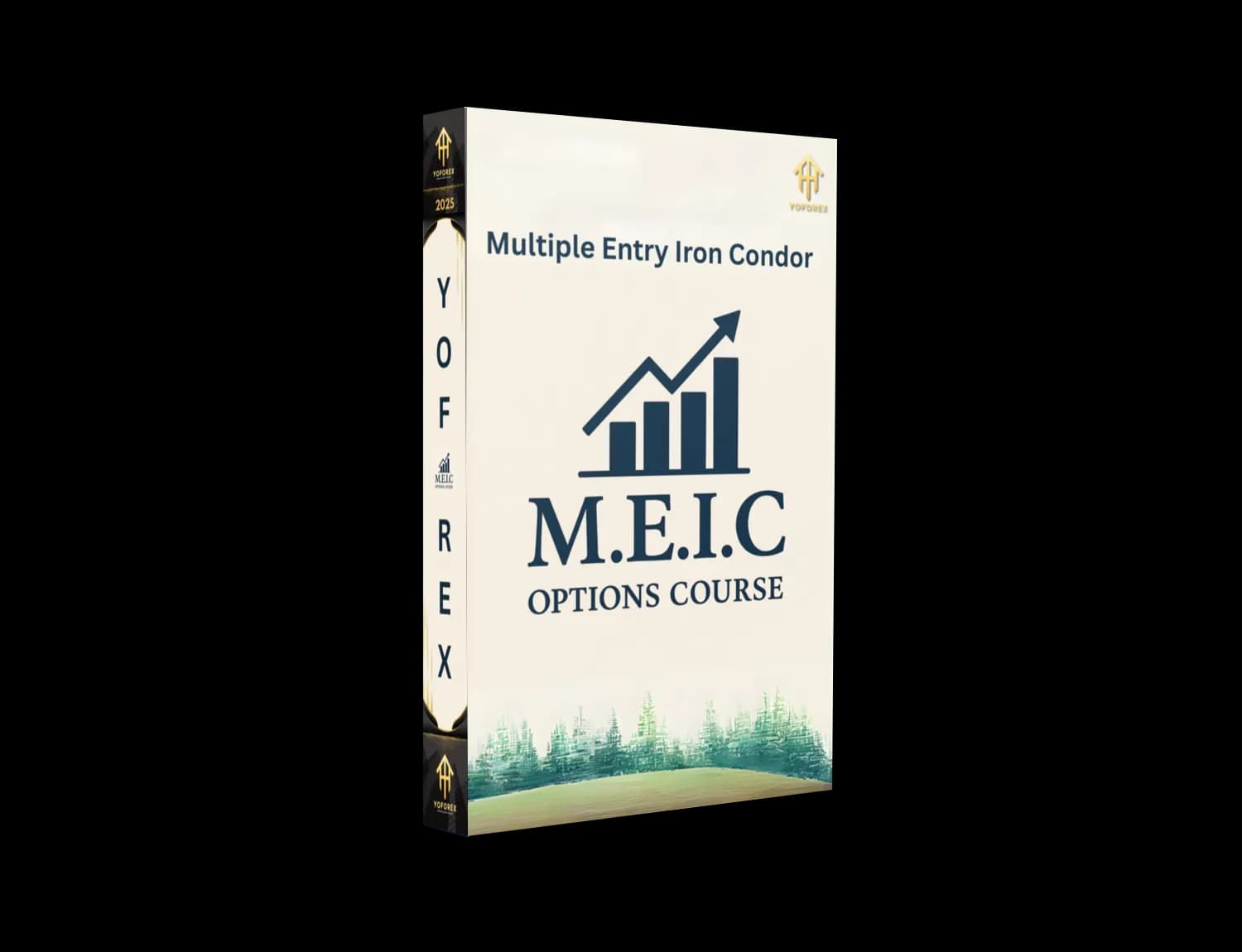 M.E.I.C Options Course