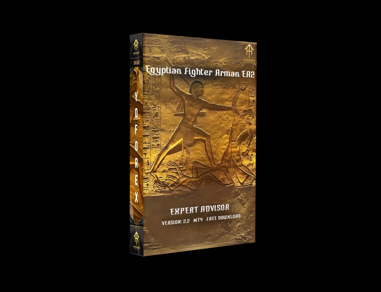 Egyptian Fighter Arman EA2 V2.2 MT4