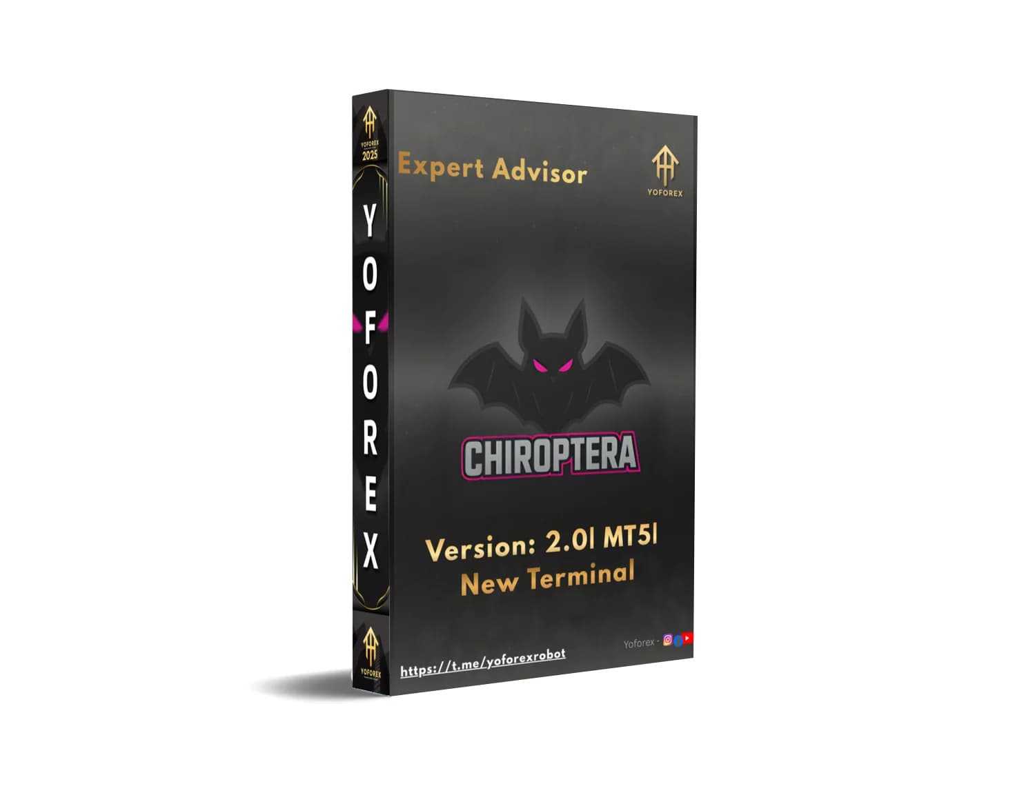 Unleash the Nocturnal Fury: Chiroptera MT5 – Your Bat-Winged Path to Forex Domination!