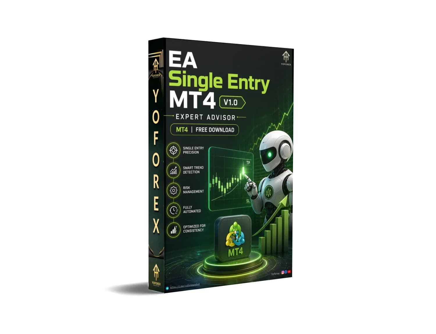 EA Single Entry EA